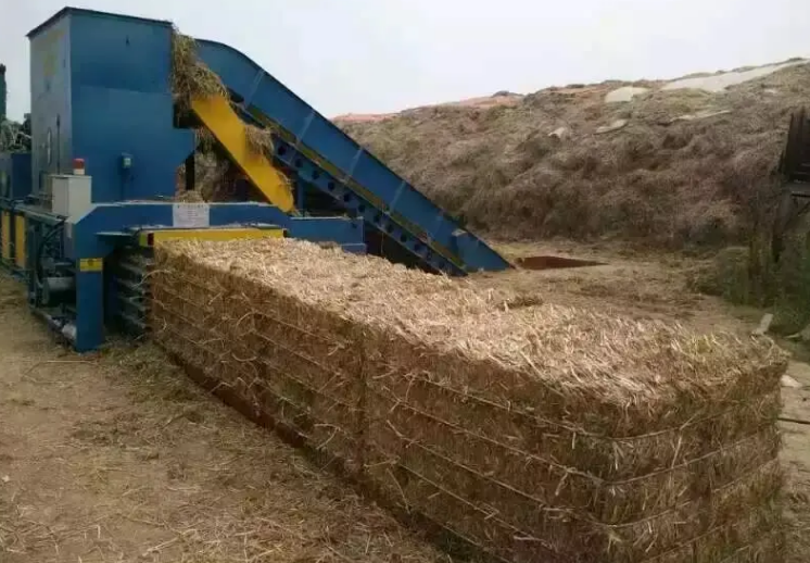 麥草