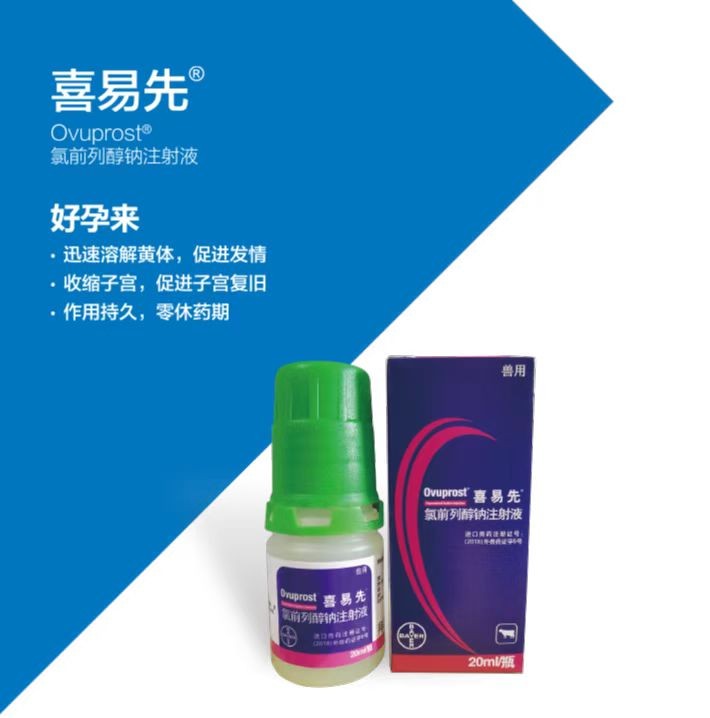 喜易先