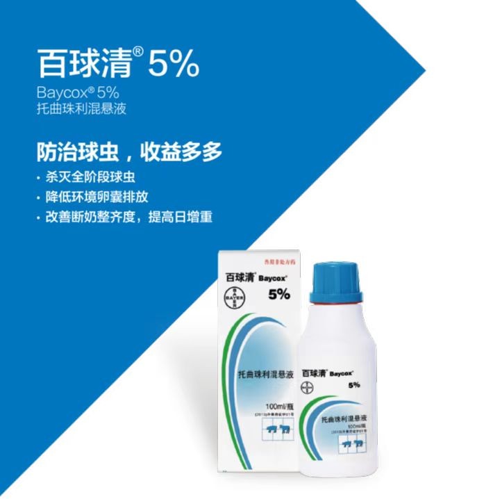 百球清