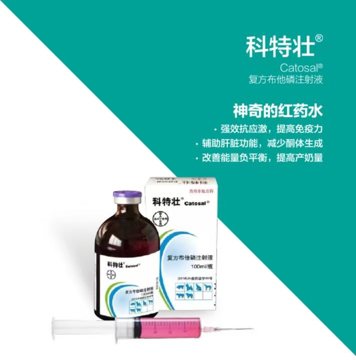科特仕