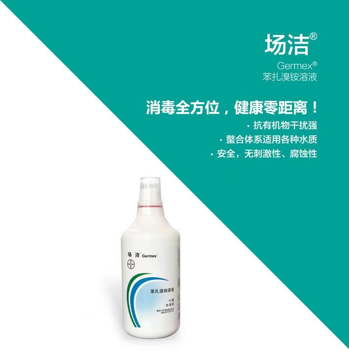 場(chǎng)潔